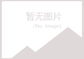 新城区白山律师有限公司